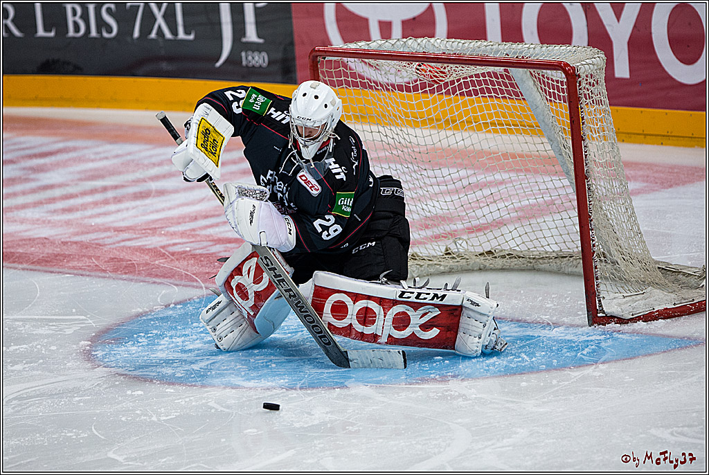 Koelner Haie - Pinguins Bremerhaven, 25.10.2016
